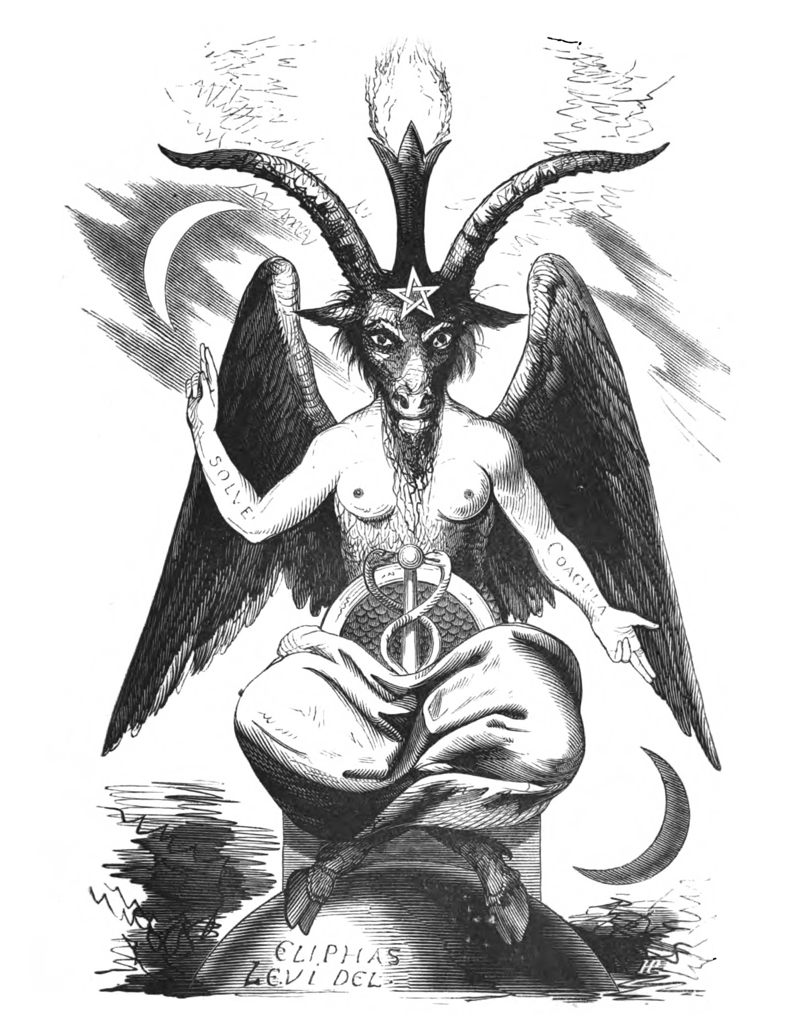 The_beast